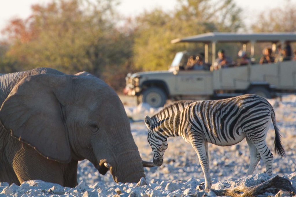 5 Days – Tarangire, Ngorongoro & Serengeti Highlights (Tanzania)