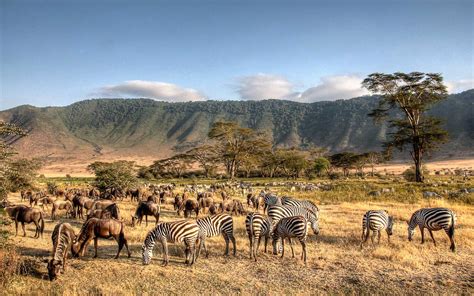 TANZANIA – WILDLIFE PHOTOGRAPHY DESTINATIONS