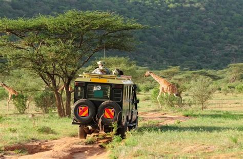 TSAVO EAST & WEST